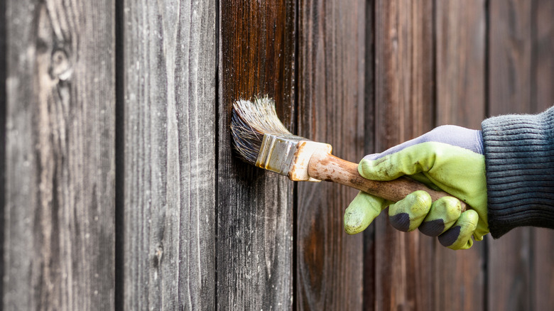 A man giving an old fence a new coat of stain to refresh it