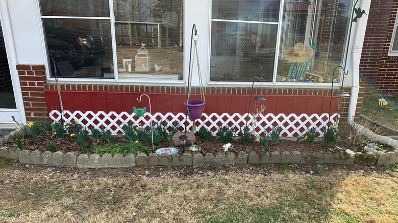 garden bed with white lattice