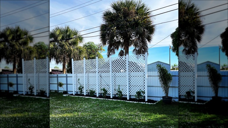 white lattice trellis wall