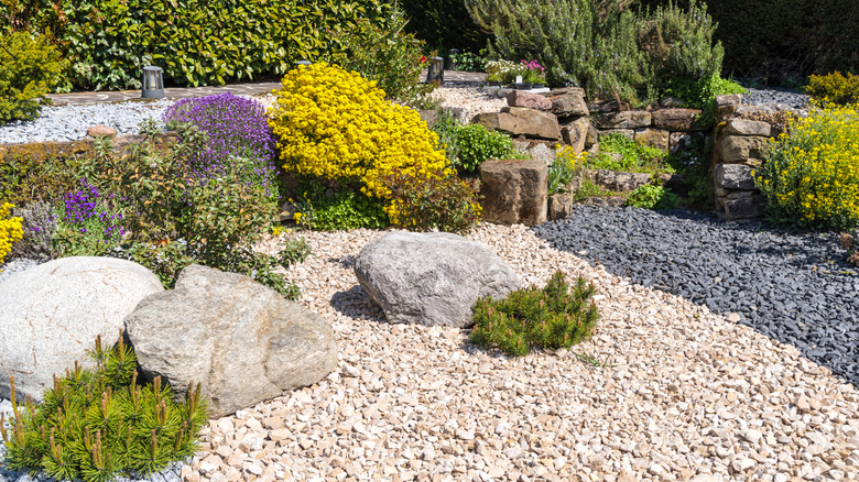 Rock garden with gravel as the base