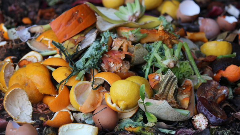 Various food scraps are in a compost pile