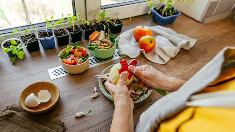 cutting apple peels for seedlings