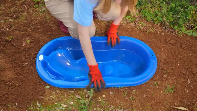 A woman placing a baby tub in a hole in dirt