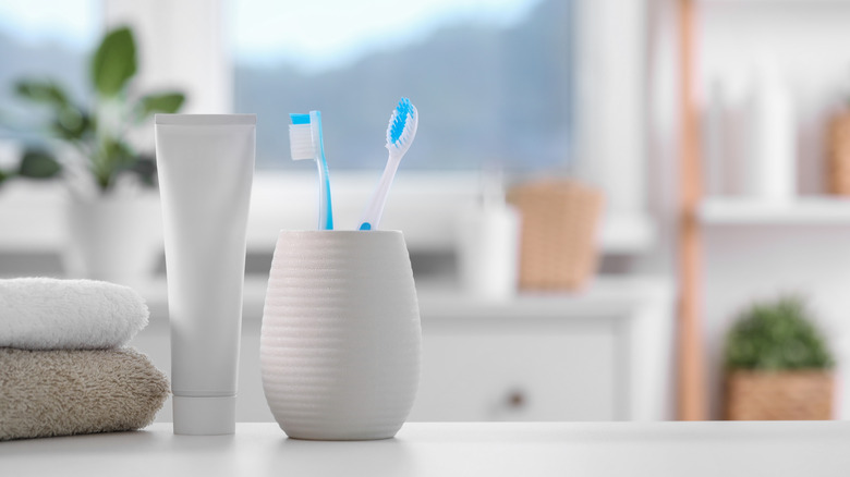 A toothbrush holder