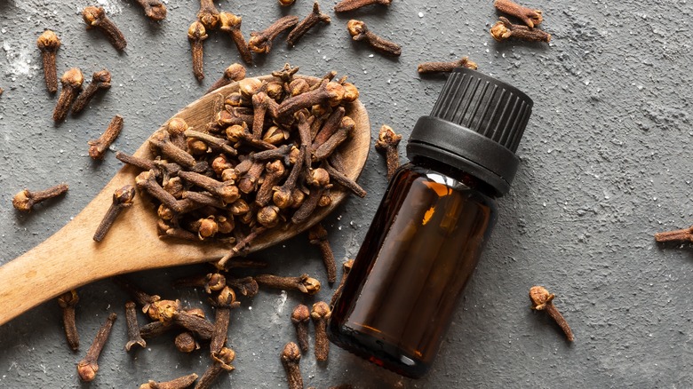 Amber essential oil bottle surrounded by dried clove.