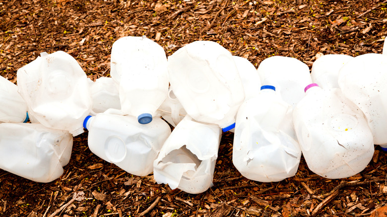 Pile of empty milk jugs