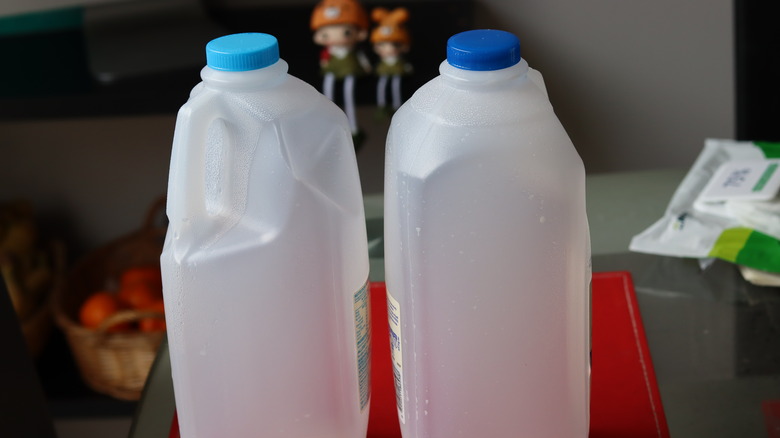 Two empty milk jugs