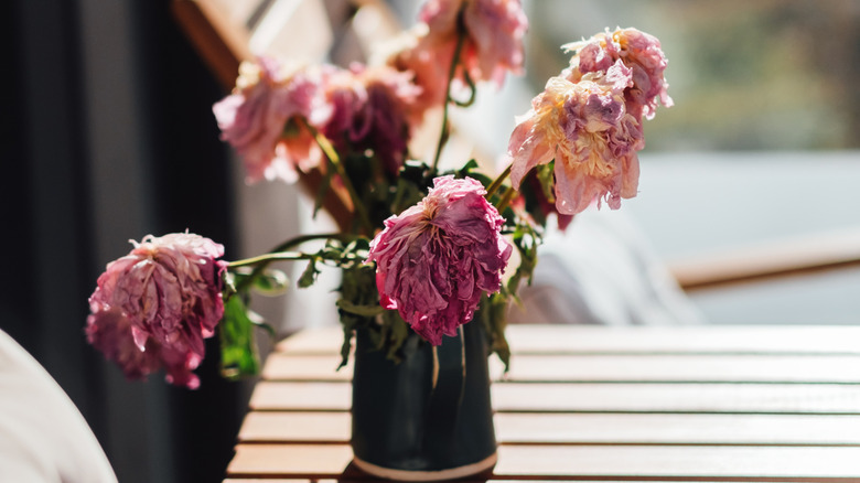 Wilting pink flowers in black vase on porch