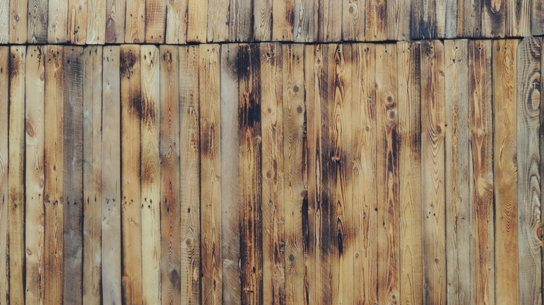 Black streaks on wood fence around nails