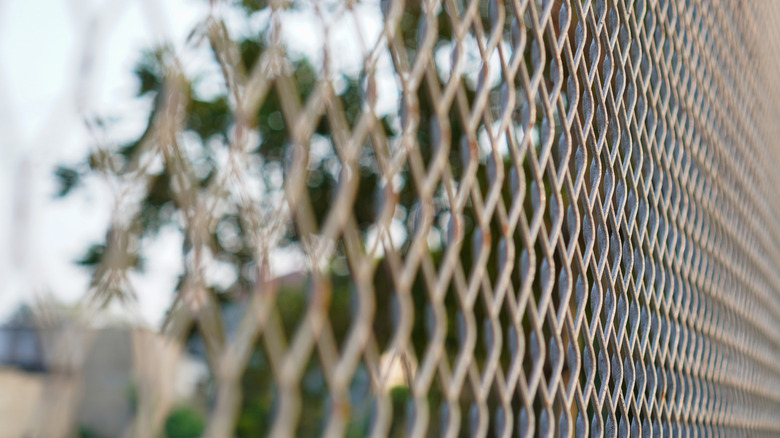 Chain link fence with a blurry background