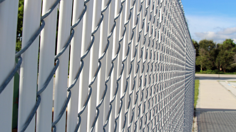 Chain link fence with white vinyl privacy slats