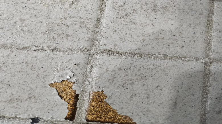 Peeling paint from a chipped, textured floor tile