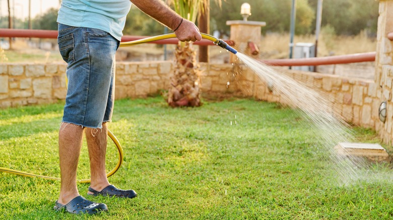 person watering lawn