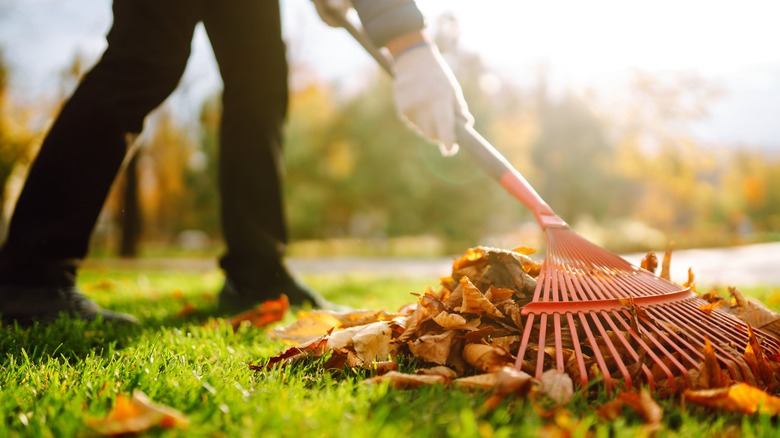 person sweeping lawn