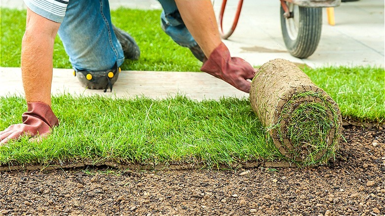 Installing sod yourself