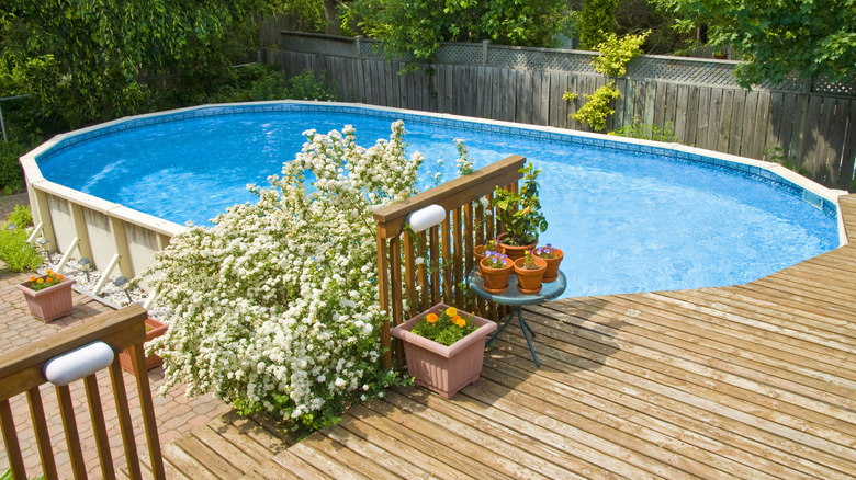 backyard pool with potted plants