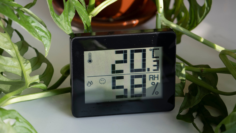 hygrometer in home 