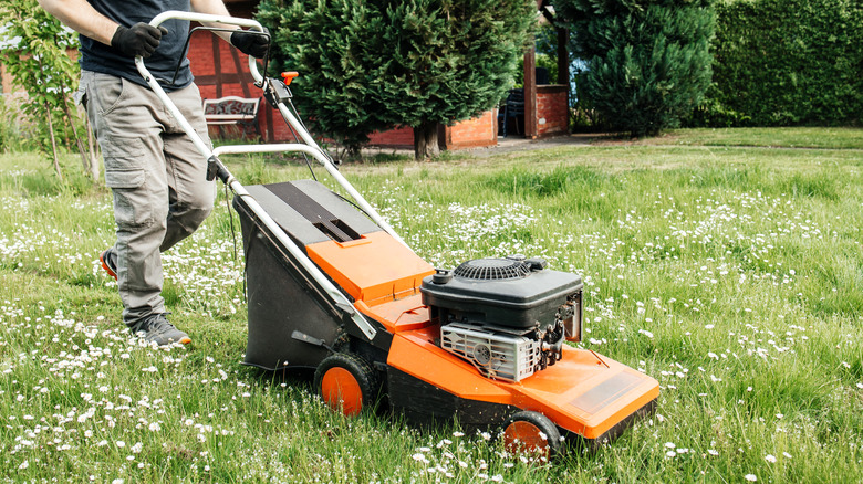 Man mowing overgrown lawn