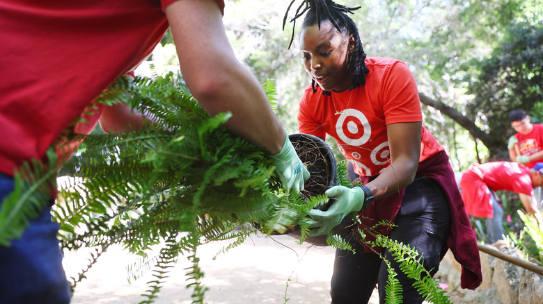 Target employees handling potted fern