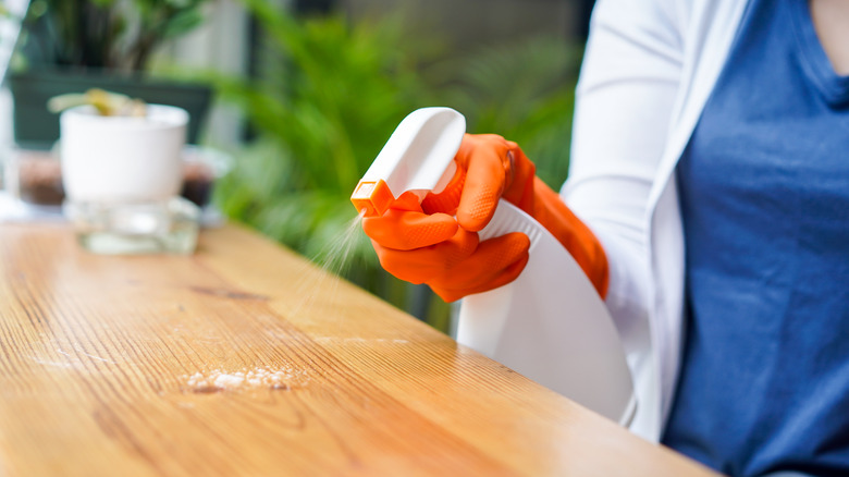 Person spraying table wearing gloves