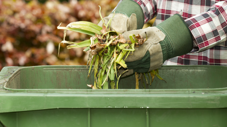 Easily Break Up Clay Soil With These Helpful Gardening Tips