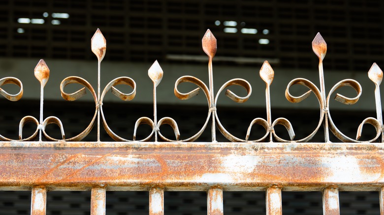 A rusted iron fence