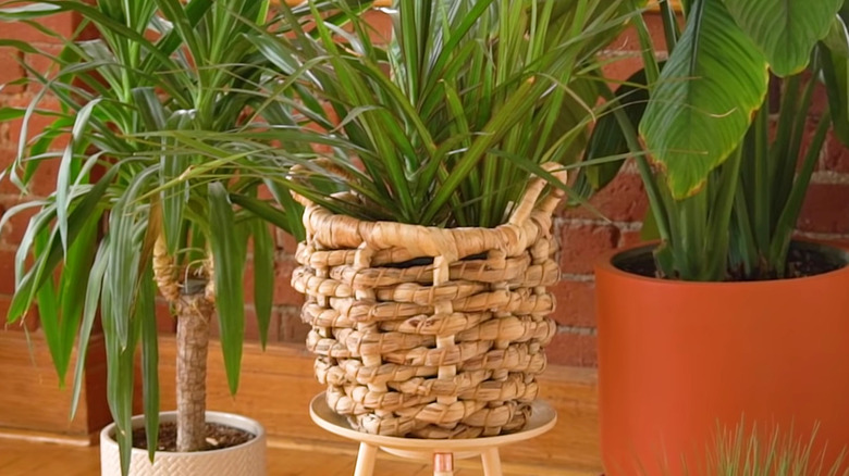 rattan bin plant stand 