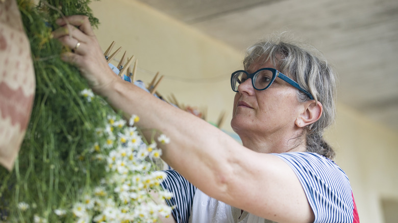 woman hanging chamomile on line  