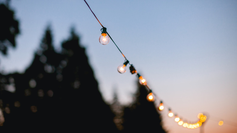 Fairy lights hanging in backyard