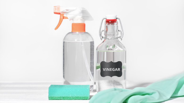 A bottle of vinegar surrounded by cleaning products