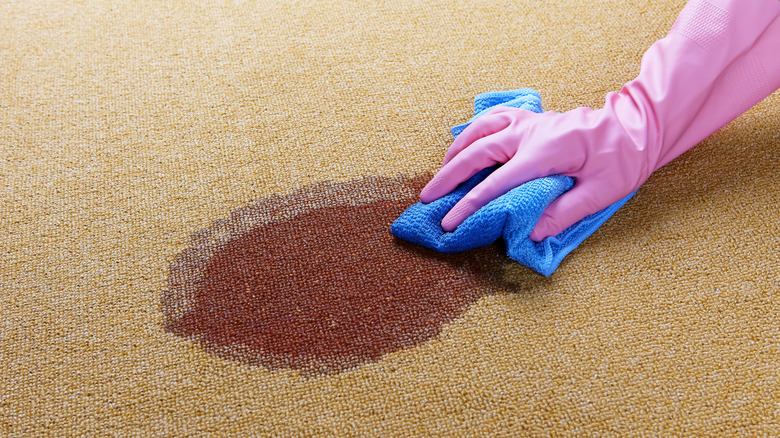 Woman cleaning serious blood stain