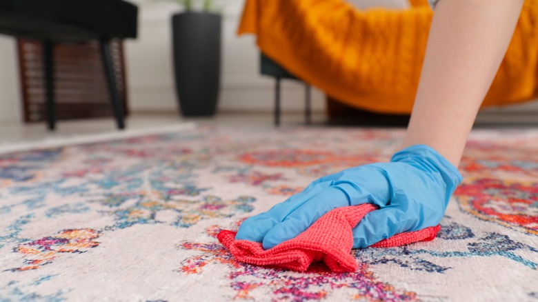 Dab carpet by hand with a cloth