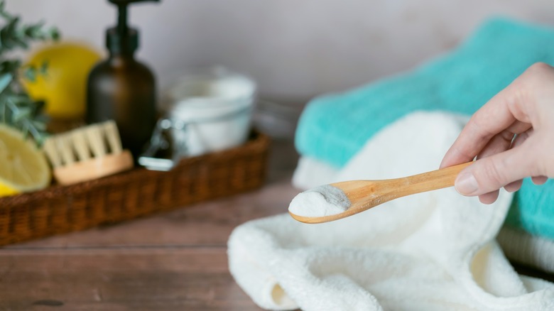 Person holding a spoonful of borax