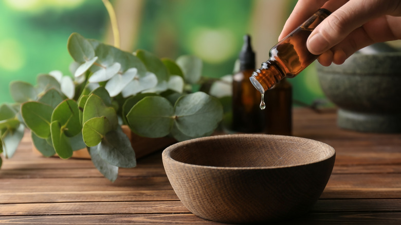 Pouring eucalyptus oil into a bowl