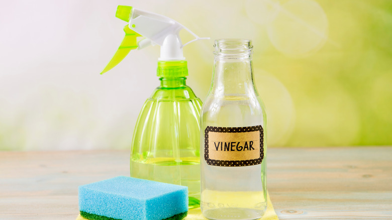 Vinegar, spray bottle, and sponge 