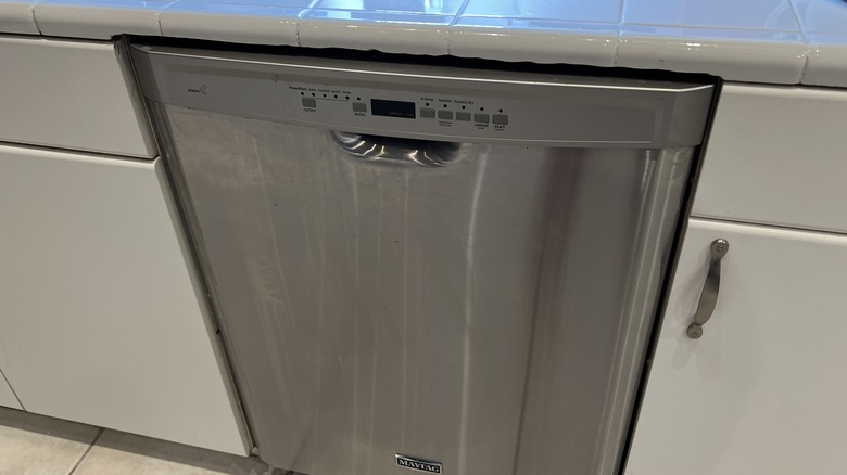 Stainless steel dishwasher