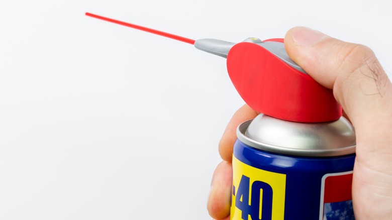 Person holding WD-40 can