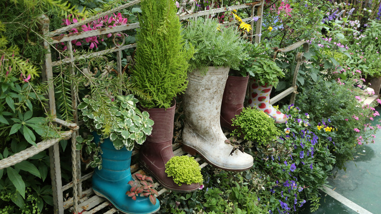 rain boot planters on trellis