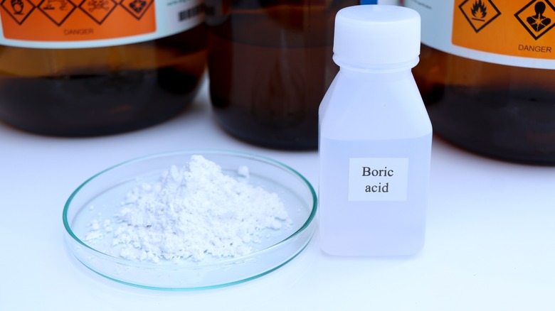 boric acid liquid and powder