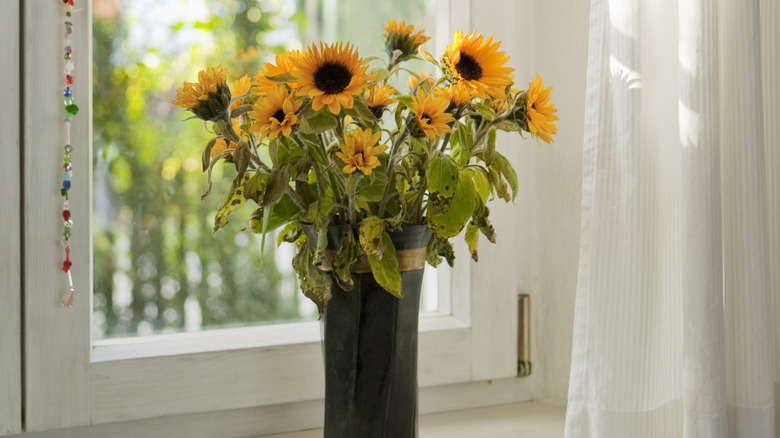 A vase of sunflowers rests on a window sill.