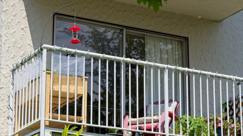 hummingbird feeder on apartment balcony