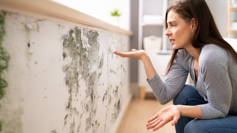 Woman finds mold on her wall. 