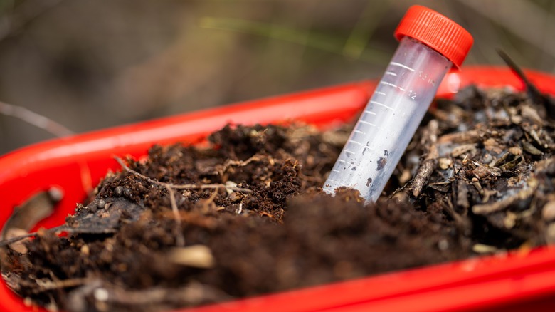 Test tube in soil