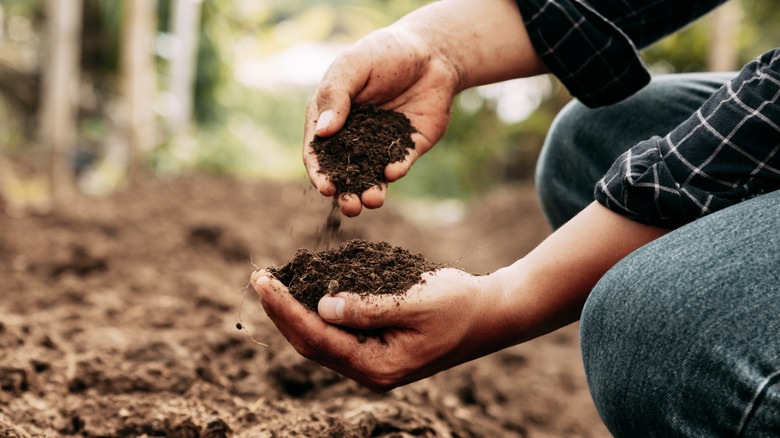 hands sifting soil