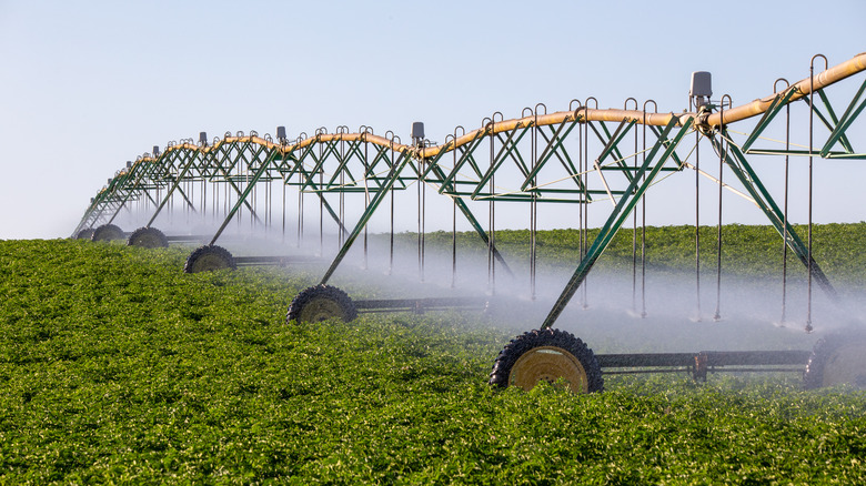 Agricultural machine watering farm crops