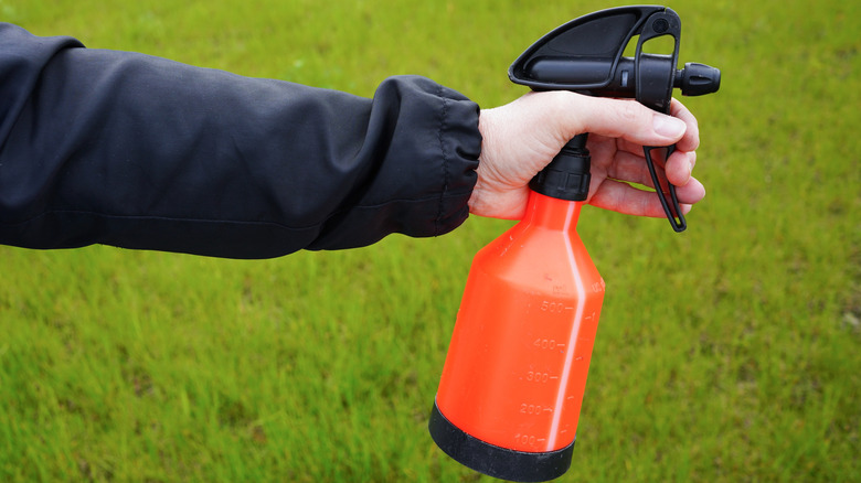 Person's arm holding orange spray bottle above grassy lawn