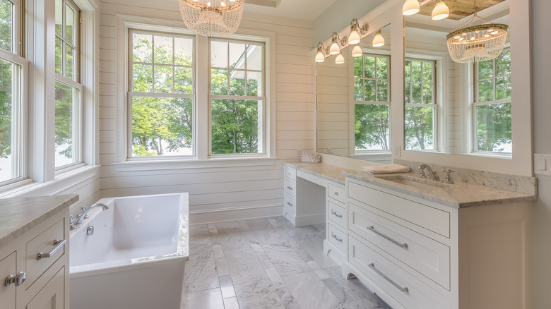 Bathroom with bare windows