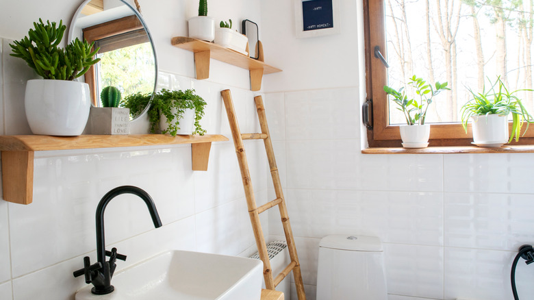 Plants in a bathroom