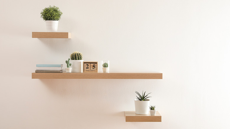 Three shelves with plants