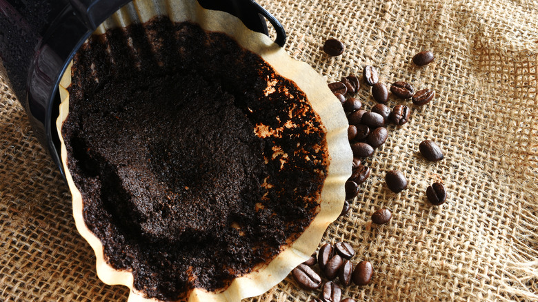 Used coffee grounds